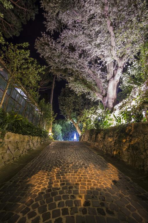 Готель La Canonica Dei Fiori - Anna Fendi Country House Рончільоне Екстер'єр фото
